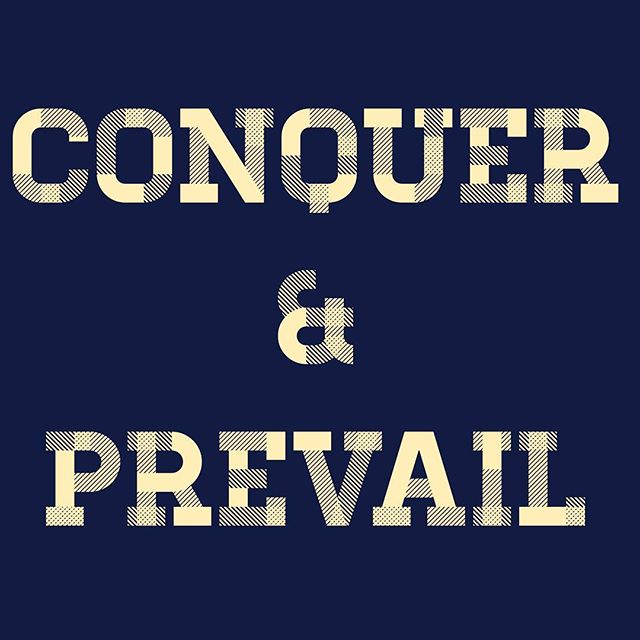 There are few things that make me happier than #Vandy beating Tennessee. #conquerandprevail #dores #vanderbilt #anchordown #sec #bowlgame #ohhellyeah #6wins #welltakeit #wscs #rflf