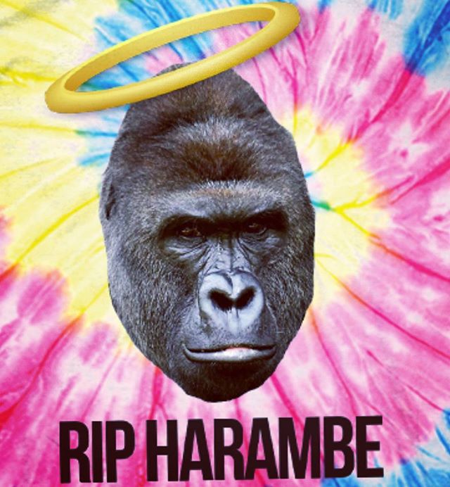 RIP #Harambe